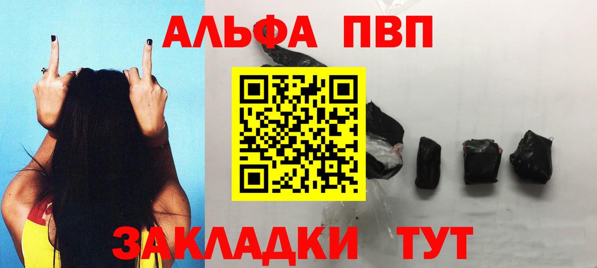 Альфа ПВП СК Выборг
