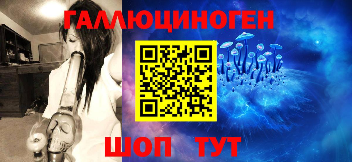 Псилоцибиновые грибы GOLDEN TEACHER  купить  сайты  Выборг  Псилоцибиновые грибы Psilocybine cubensis  Вход с VPN 
